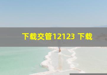 下载交管12123 下载